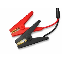 Carregador LiFePO4 50A para baterias de lítio 12.8V com pinças