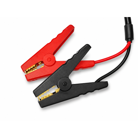 Carregador LiFePO4 30A para baterias de lítio 12.8V com pinças