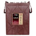 Bateria Trojan L16H-AC