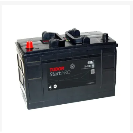 Batería Tudor TG1101 110Ah
