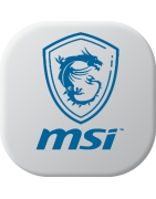Baterias para MSI